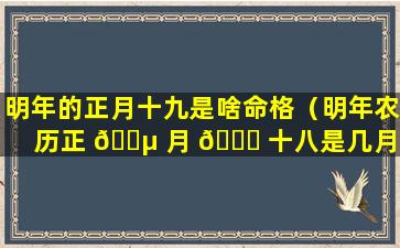 明年的正月十九是啥命格（明年农历正 🐵 月 🐈 十八是几月几日）